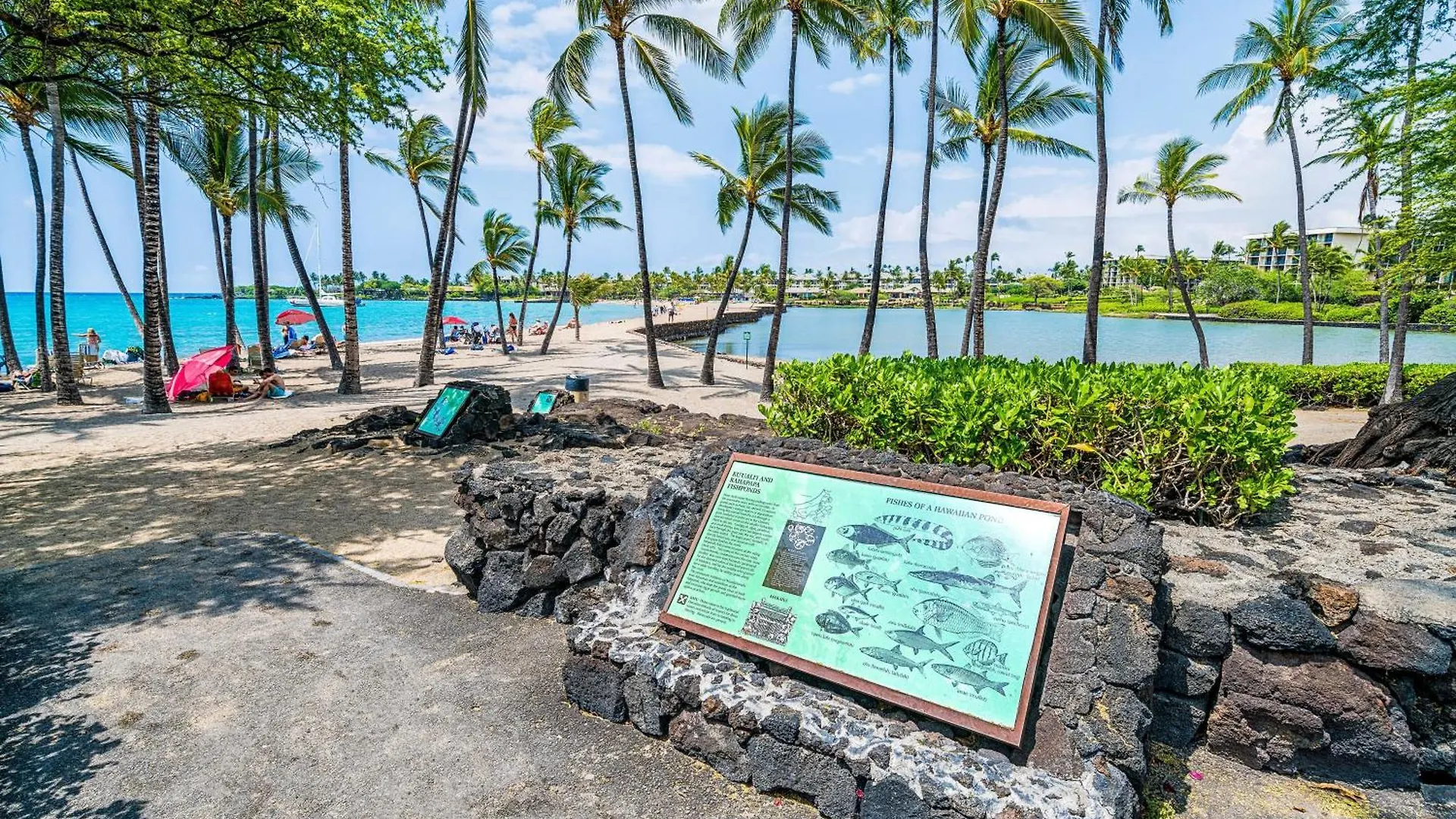 The Shores At Waikoloa 102 Holiday home